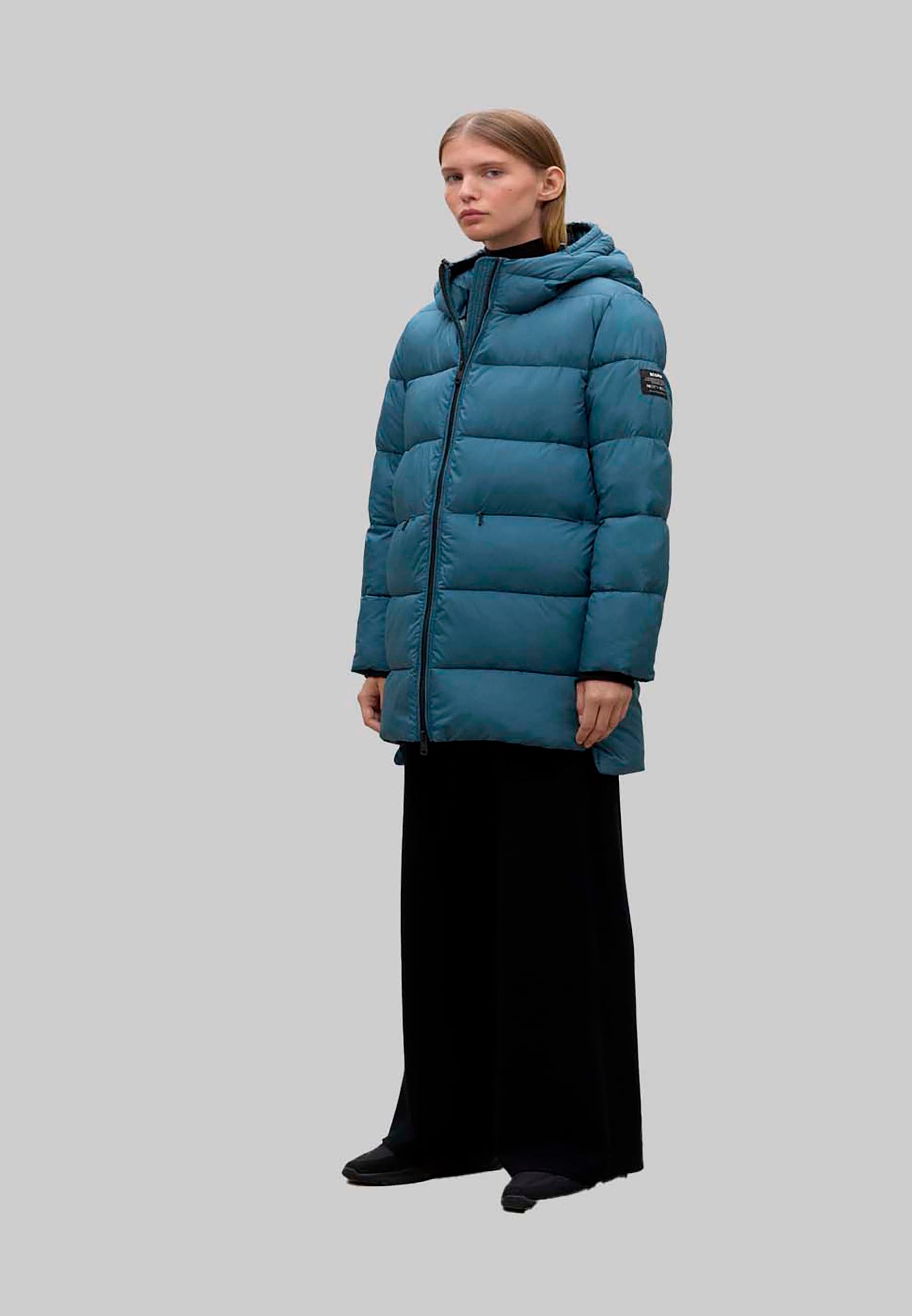 3683019